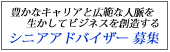 �V�j�A�A�h�o�C�U�[��W