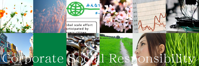 CSR�����̎�g��