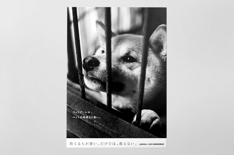 Case01 動物愛護協会 協同宣伝 Kyodo Senden